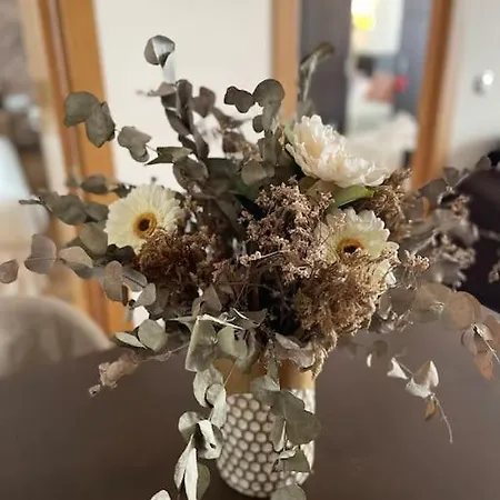 Daire El Carmen Centro Con Garaje